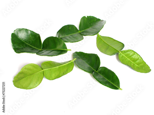 Kaffir lime is a fruit native to tropical Asia.