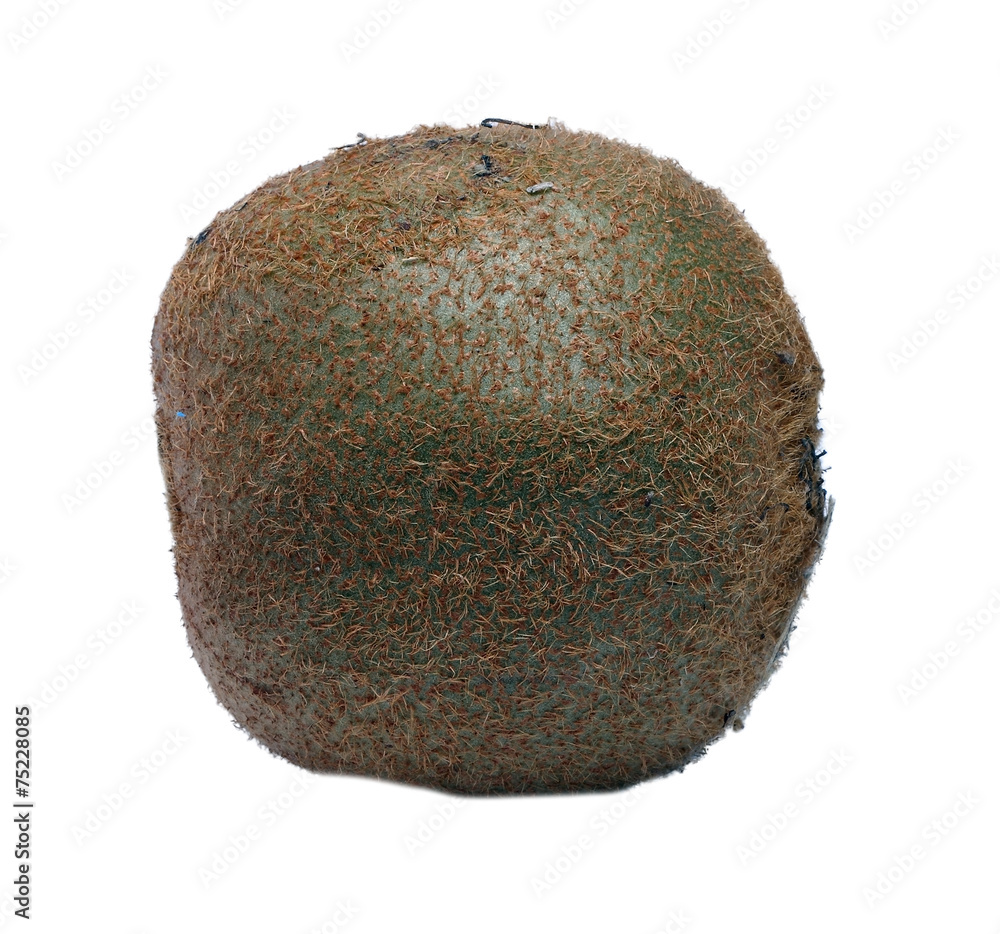 Fototapeta premium big green kiwi on a white background