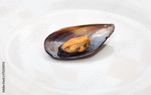 Detail view of mussel boiled