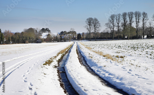 English Winter Rural Landscape