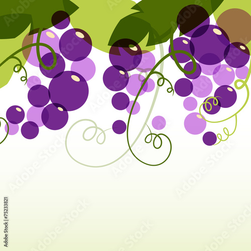 Branch of grape with leaves. Abstract vector background design t