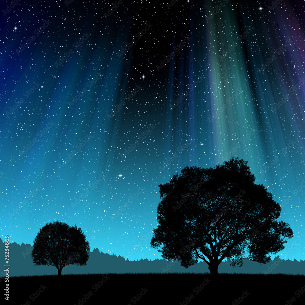 Trees silhouette against the night sky Stock Photo | Adobe Stock