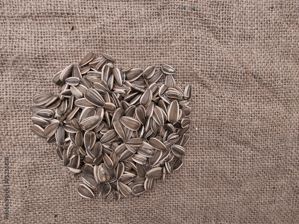 Sunflower seeds on hessian - wild bird food for winter