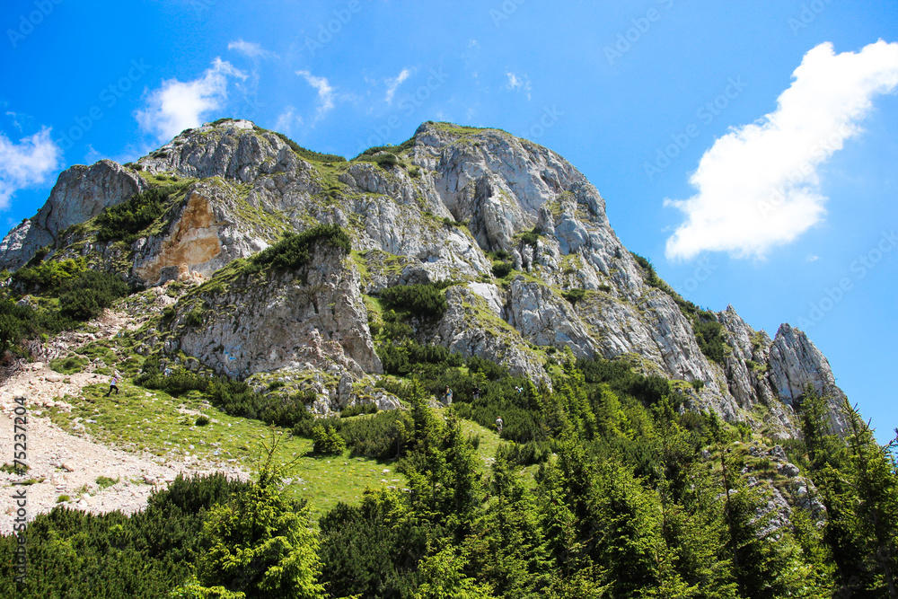 Mountain panorama with big stones and path near pine forest
