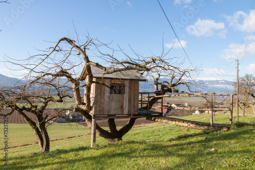 Baumhaus - Baumhütte am Bauernhof in schöner Landschaft -  photo