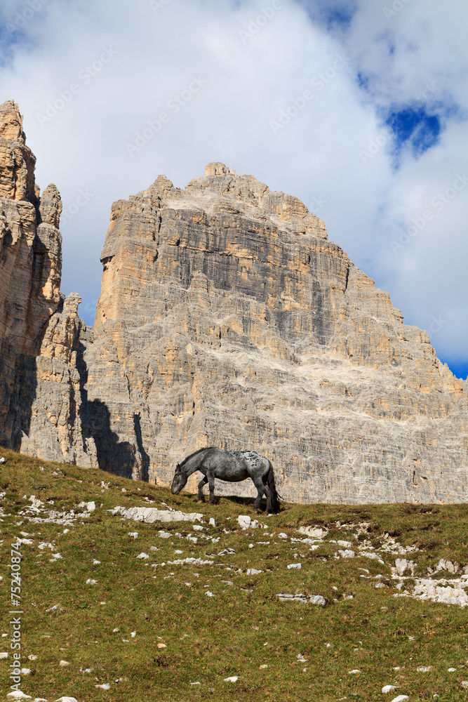 Horse grazing on the hillside behind the mountains Horse grazing on the hillside behind the mountains