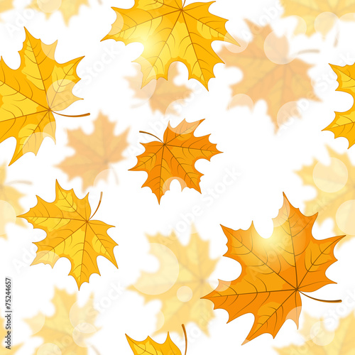 Seamless pattern with maple leaves