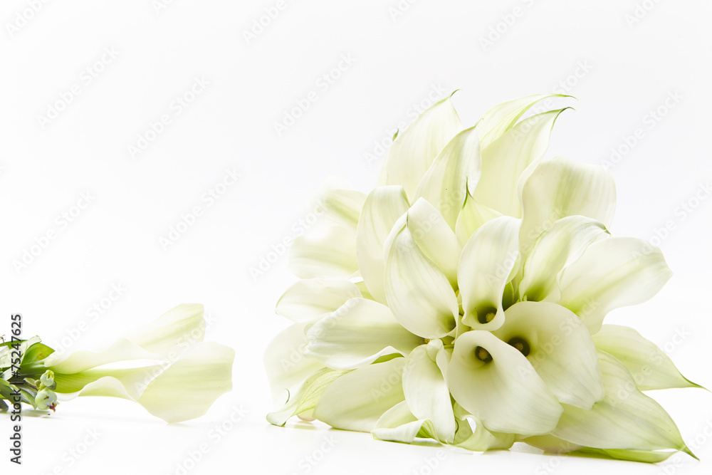 Fototapeta premium Bouquet
