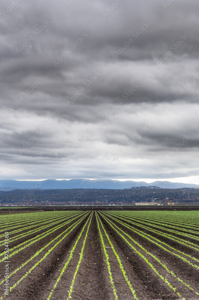 Rain Clouds Over Salinas Valley
