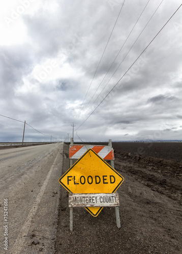 Flooded Roadway Sign Vertical Image