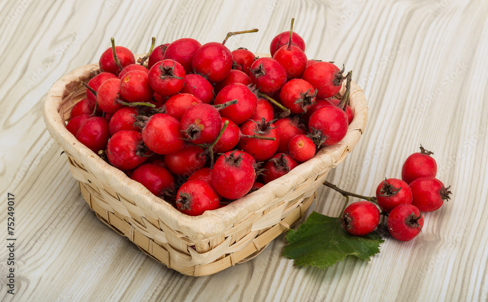 Hawthorn Hawthorn