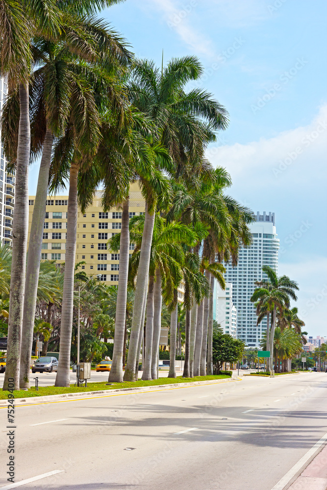 Tropical city landscape of Miami Beach, Florida.