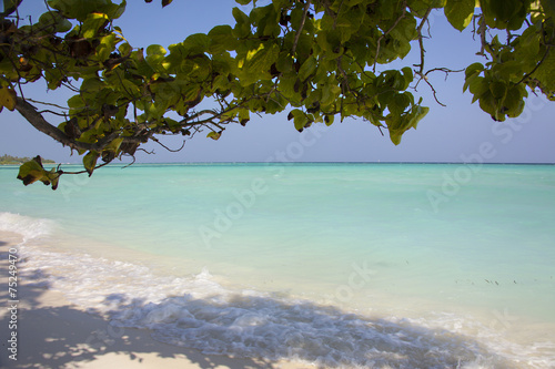 Fototapeta Naklejka Na Ścianę i Meble -  Maldive,ombra sulla spiaggia