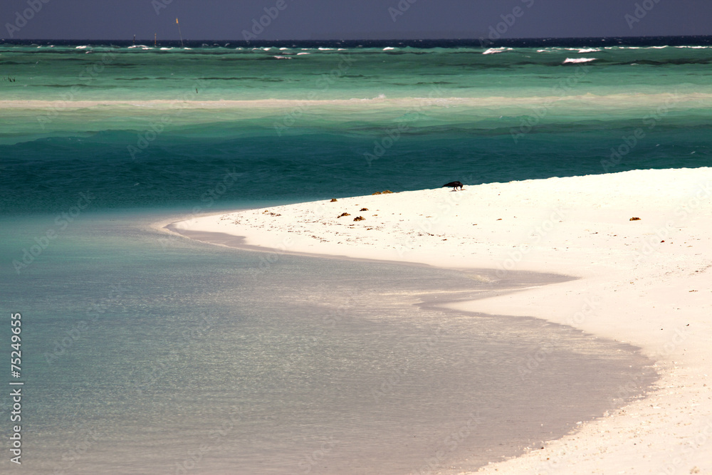 Maldive, spiaggia bianchissima