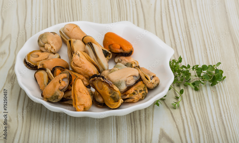 Mussels Mussels