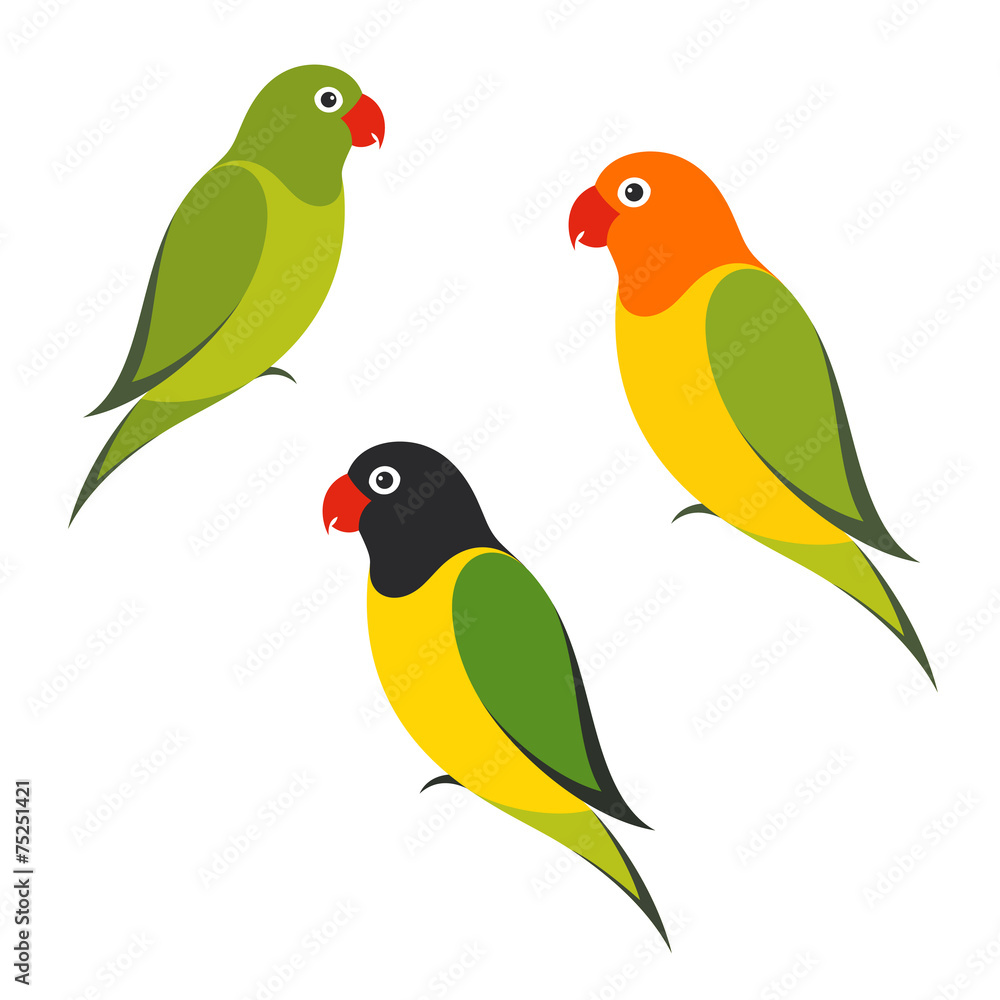 Fototapeta premium Parrot