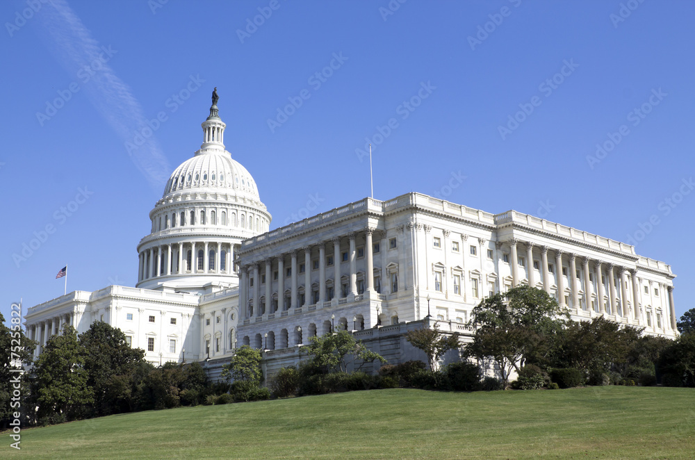 Obraz premium Washington DC , Capitol Building