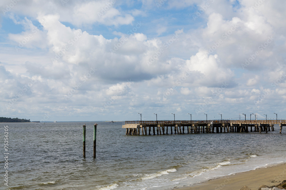 Seascape with Pier and Wood Pilings Seascape with Pier and Wood Pilings