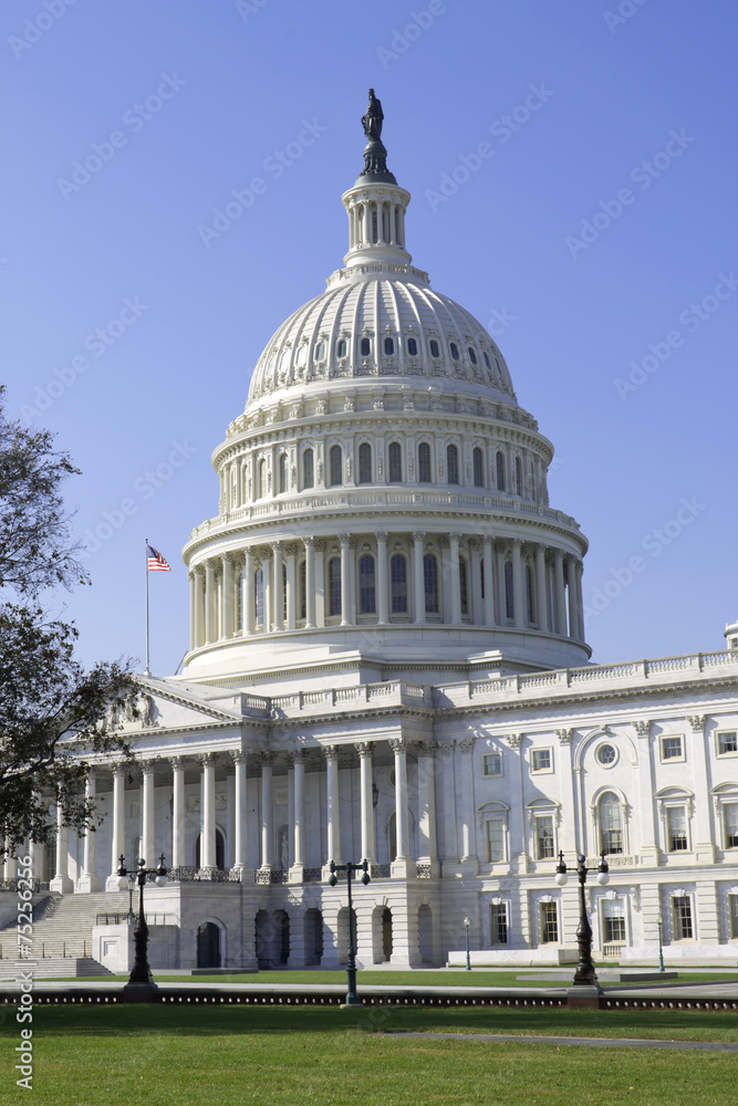 Obraz premium Budynek Kapitolu Stanów Zjednoczonych w Waszyngtonie