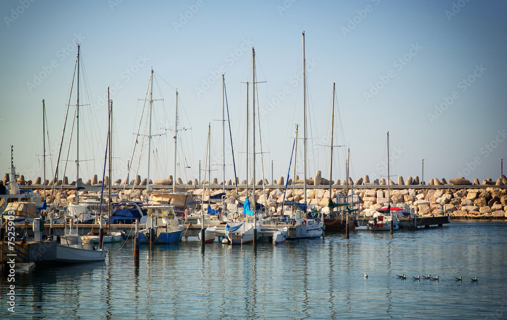 romantic marina with yachts