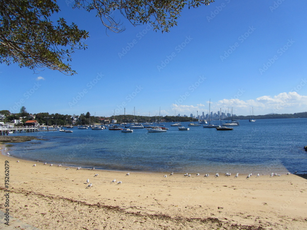 Obraz premium Watsons Bay - Vorort von Sydney - Australien