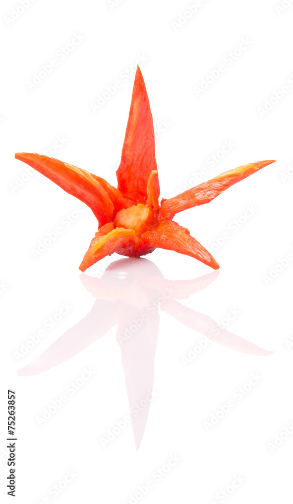 Carved red chili peppers flower over white background Carved red chili peppers flower over white background