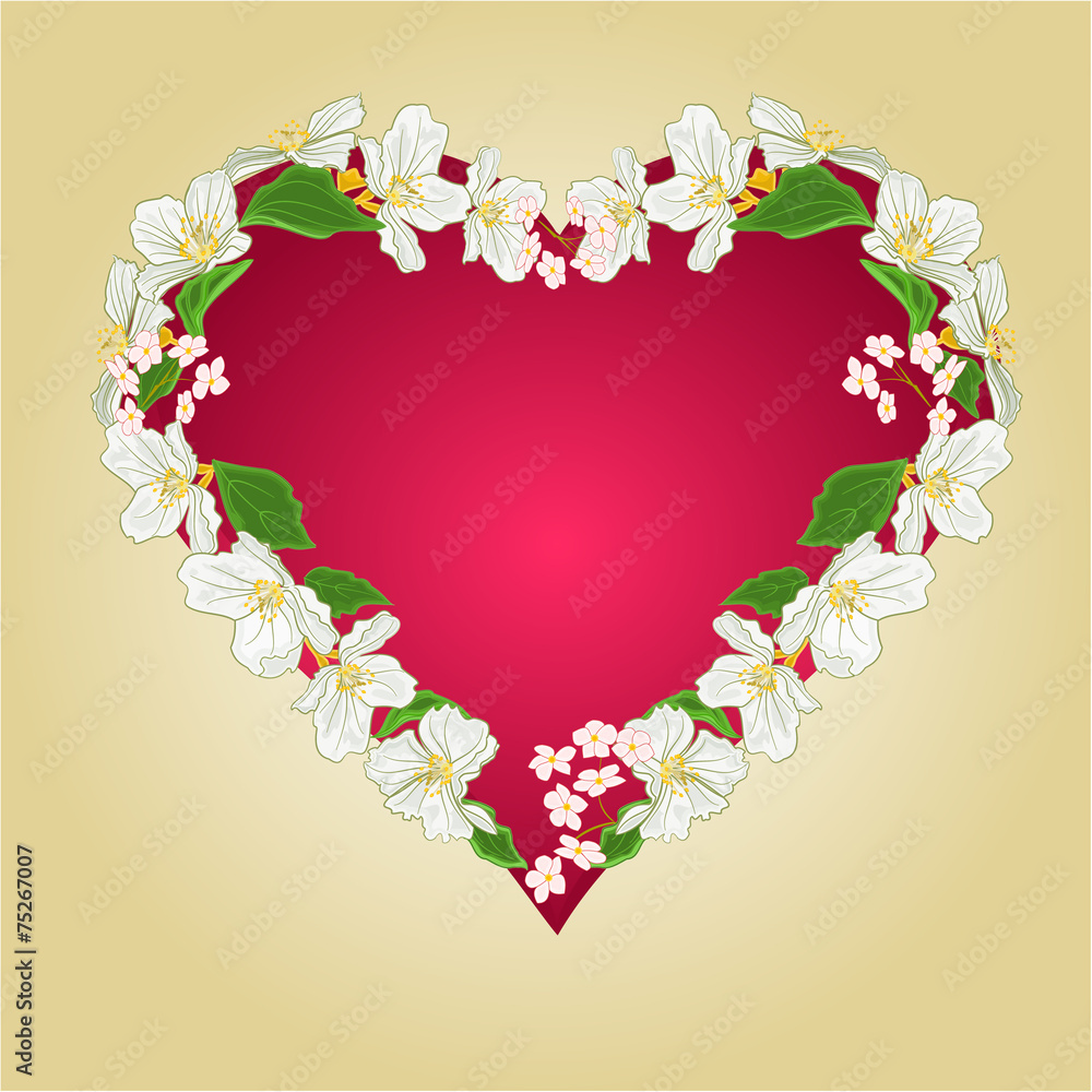 Heart with jasmine vector