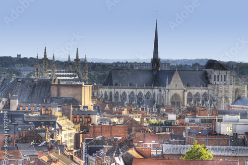 the town of leuven with saint peter's church and city hall