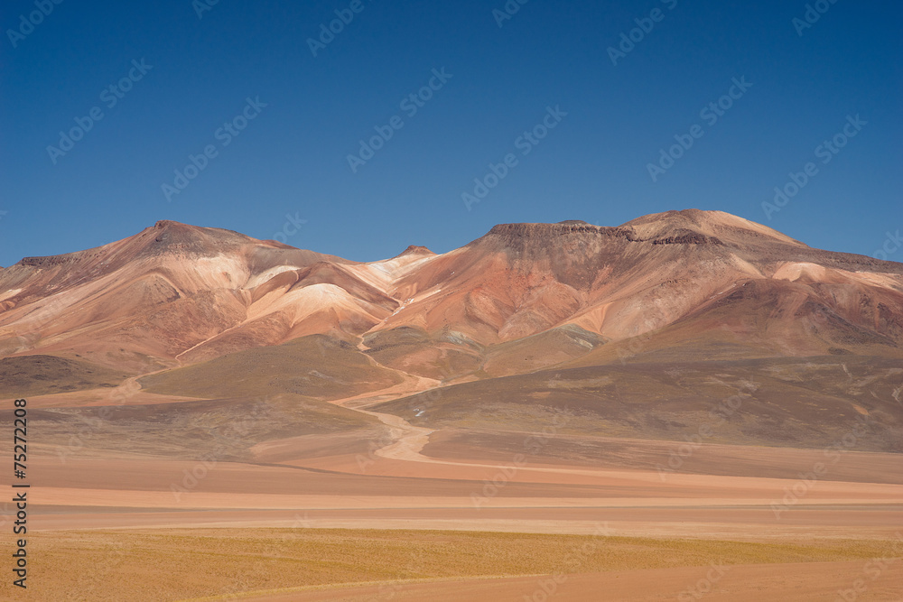 Naklejka premium Boliwijski płaskowyż