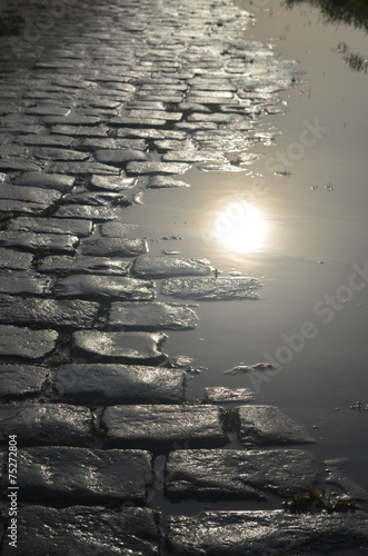 cobblestone street and puddle