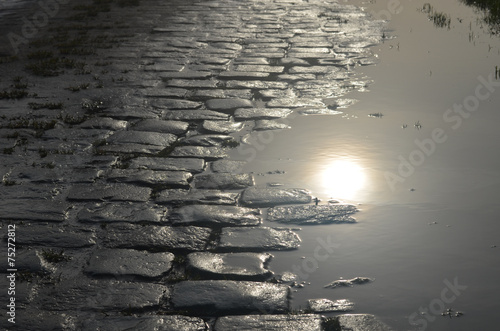cobblestone street and puddle