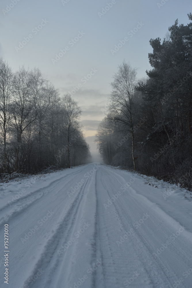 Fototapeta premium Snowy road to forest
