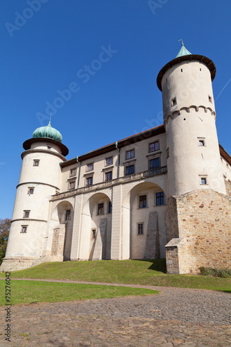 view on castle Nowy Wisnicz in Poland