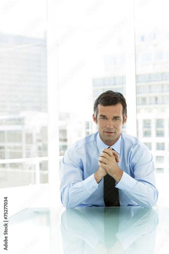 Fototapeta premium Portrait of an executive officer