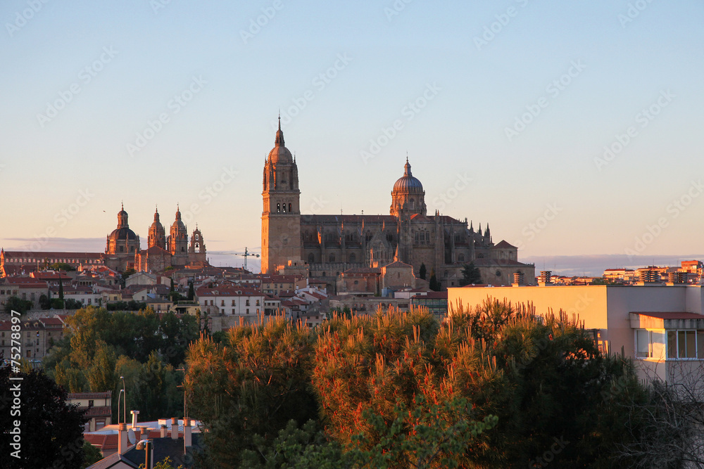 View on the center of Salamanca, Spain