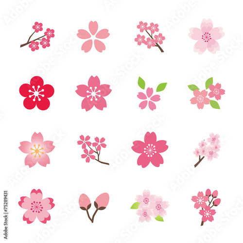 Ikona Sakura