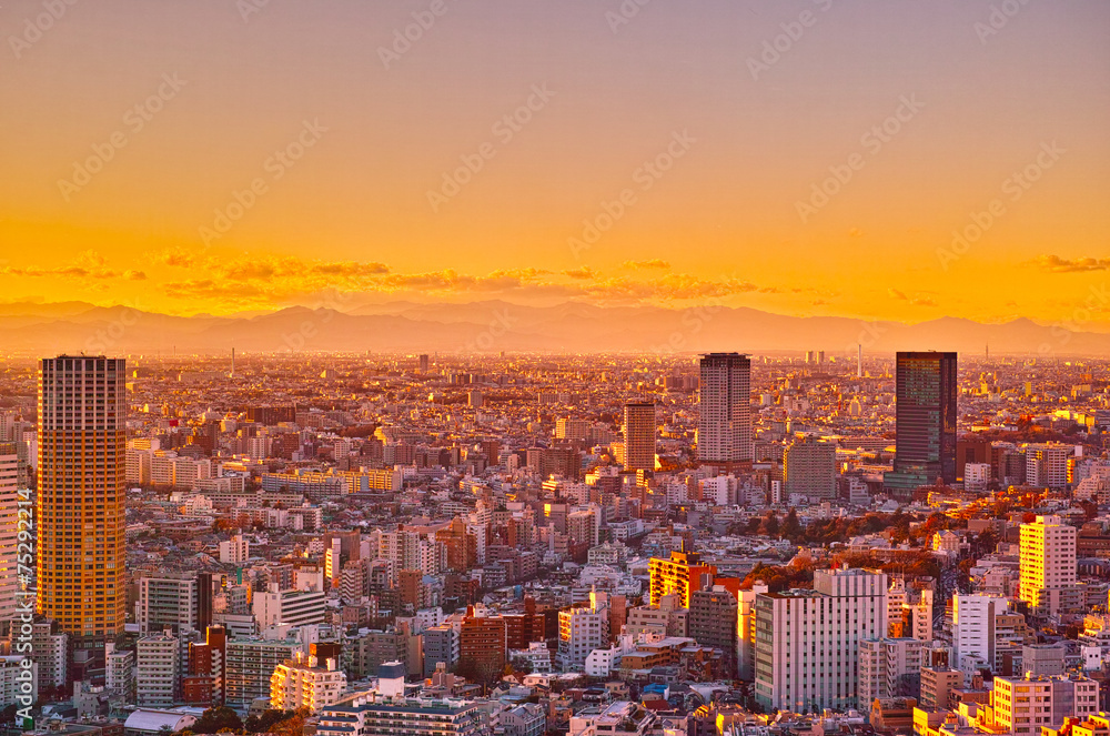 Fototapeta premium 東京の夕暮れ
