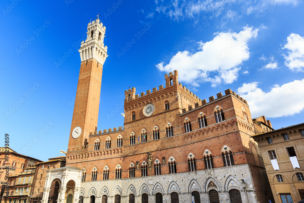 Torre del Mangia and Palazzo Pubblico, Siena Italy