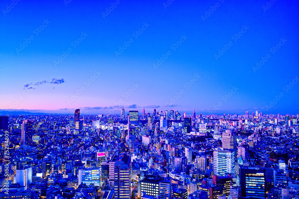 Fototapeta premium 東京の夕暮れ