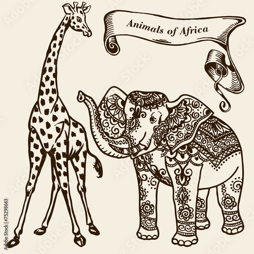 animals of Africa