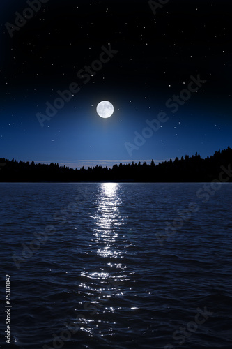 Vollmondnacht am See