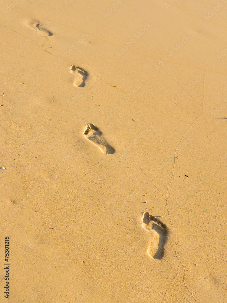 Footprints in the sand Footprints in the sand