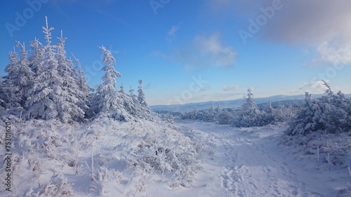 Winter landscape with footpath © kovaricekpavel
