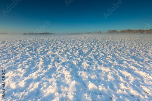 winter field at sunrise