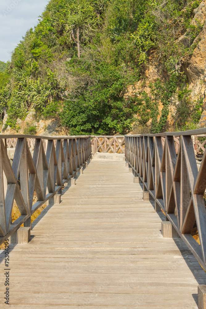 Wooden bridge around larn island ,Pattaya Thailand