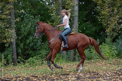 Horse and rider turning at dressage Event part