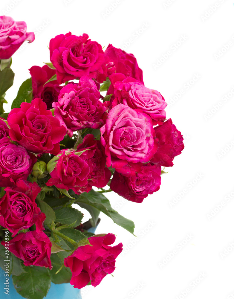 bunch of fresh mauve roses bunch of fresh mauve roses