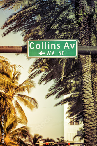 Coconut palm trees against Collins Avenue sign in Miami Beach