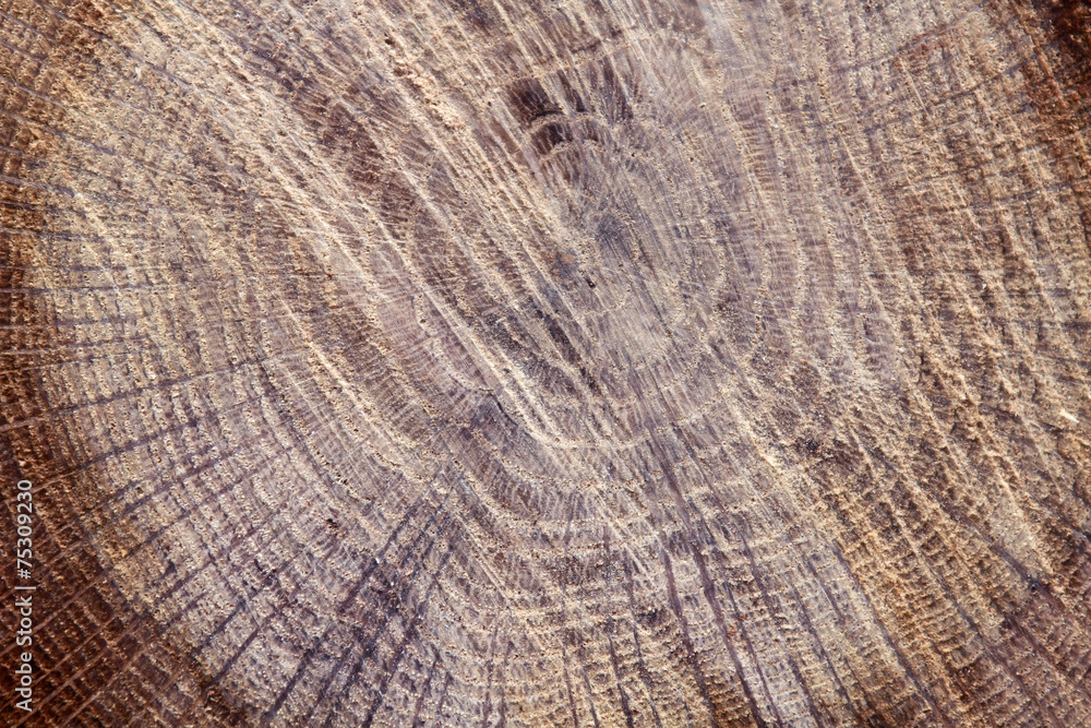 texture texture