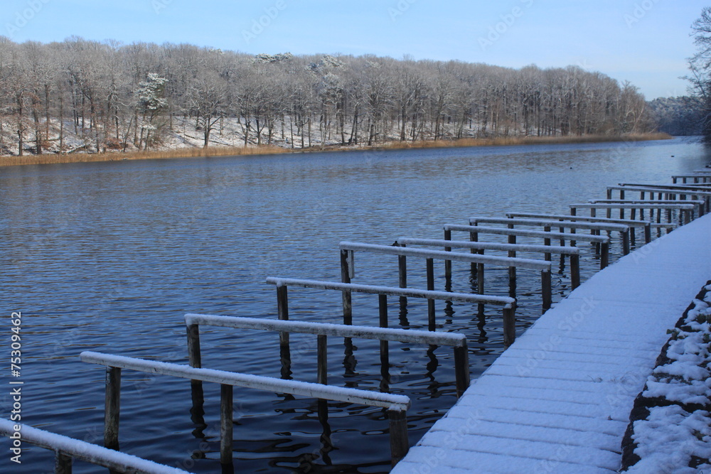Obraz premium Winter am Schlachtensee in Berlin